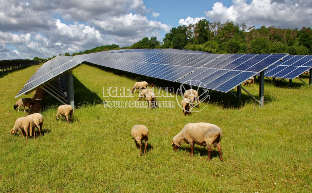 Strategiczna współpraca pomiędzy technologią nowej energii Egret Solar i Smart Concept Energy