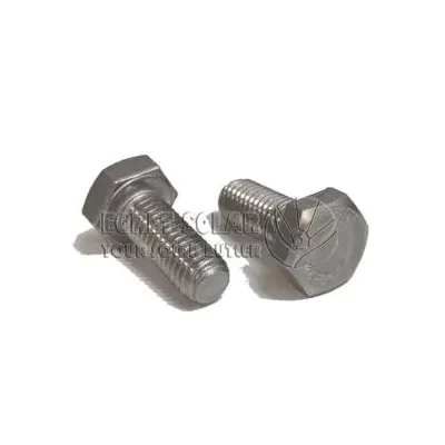 Stainless Steel Screws